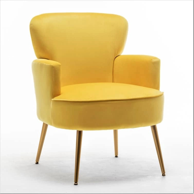 Fauteuil d'appoint tendance en velours avec pieds en métal doré